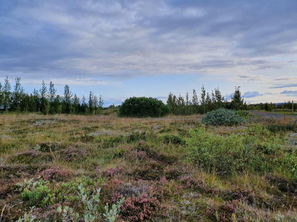 Villa Adventure Eagle Cottege Geysir Exterior foto